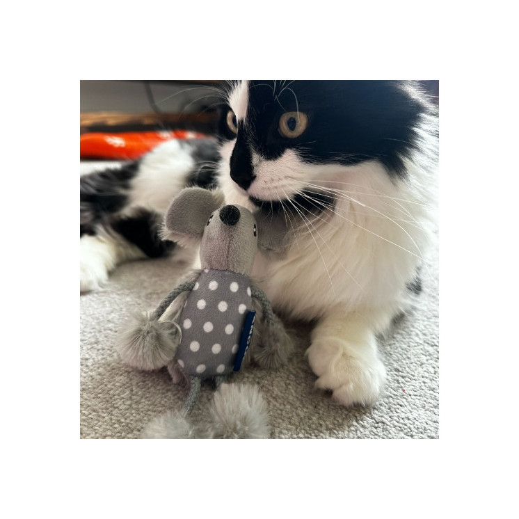 BIG POLKA MOUSE