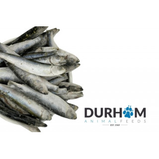 DAF Frozen Sprats 1kg