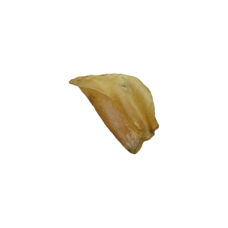 Cow Ear Single