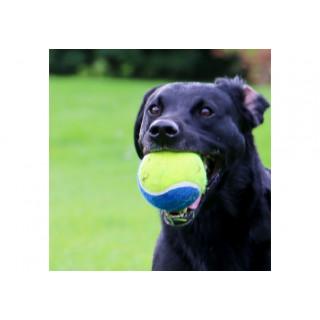 CHASE MEGA TENNIS BALL