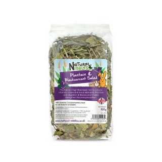 Natural Nibbles Forage Plantain & Blackcurrant Salad