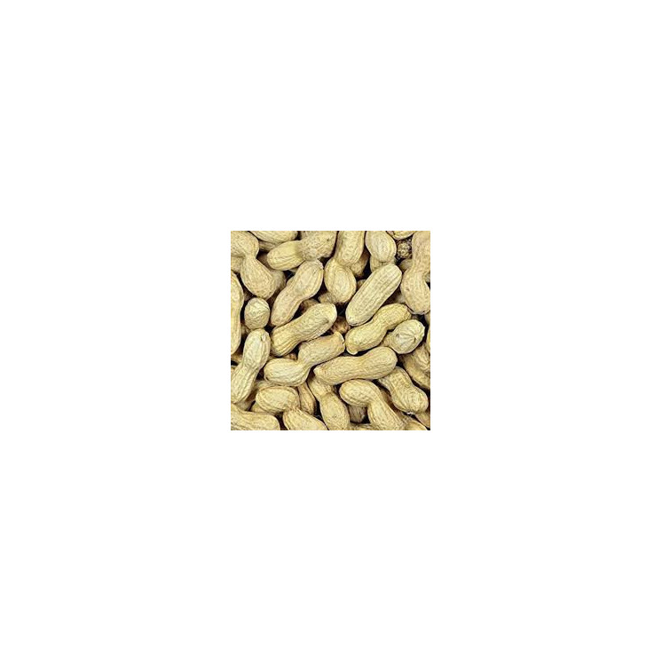 Peanuts In Shells 500g