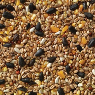 Standard Wild Bird Mix 1kg