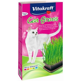 Vitakraft Cat Grass 120g