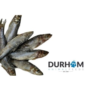 DAF Whole Herring 1kg