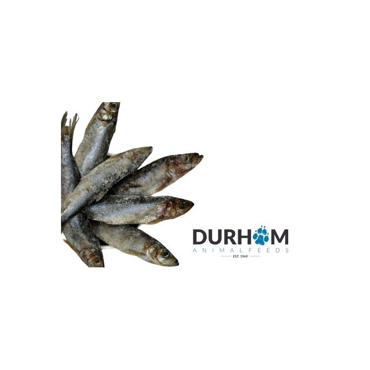 DAF Whole Herring 1kg