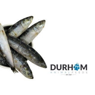 DAF Whole Sardines 1kg