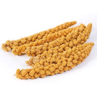Millet Sprays 500g